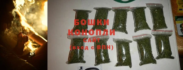 шишки Алзамай