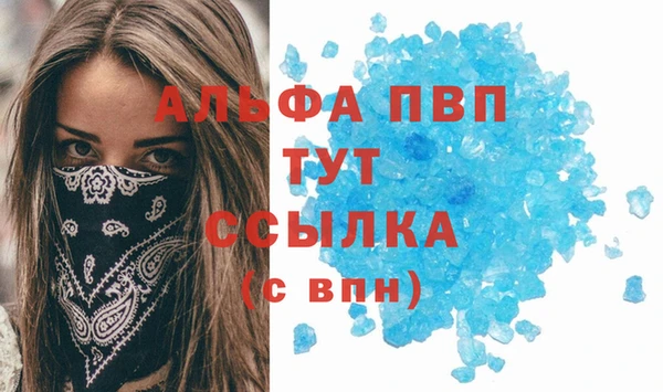 тгк Абаза