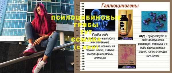 шишки Алзамай