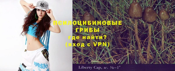 шишки Алзамай