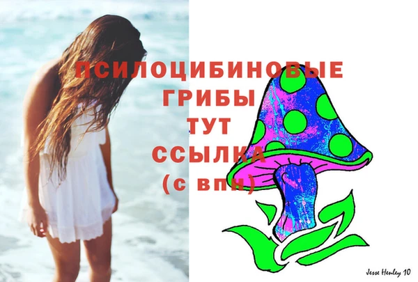 ECSTASY Алексин