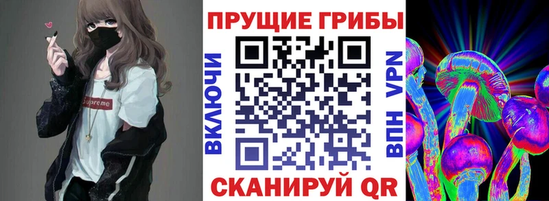 закладки Тихвин Галлюциногенные грибы прущие грибы